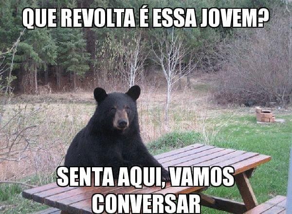 Urso, senta aqui jovem, vamos conversar